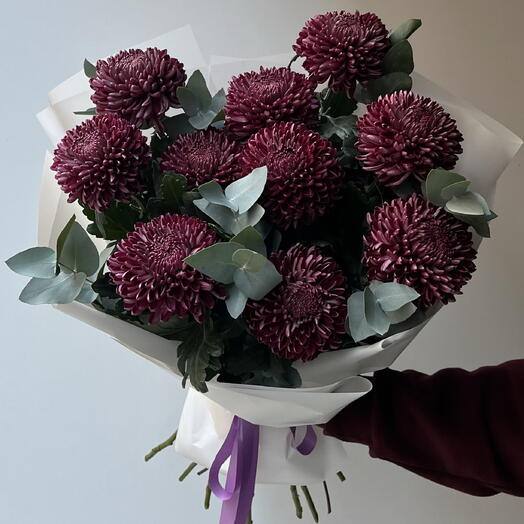 Hrizantema Violet 11