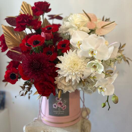 Red and white