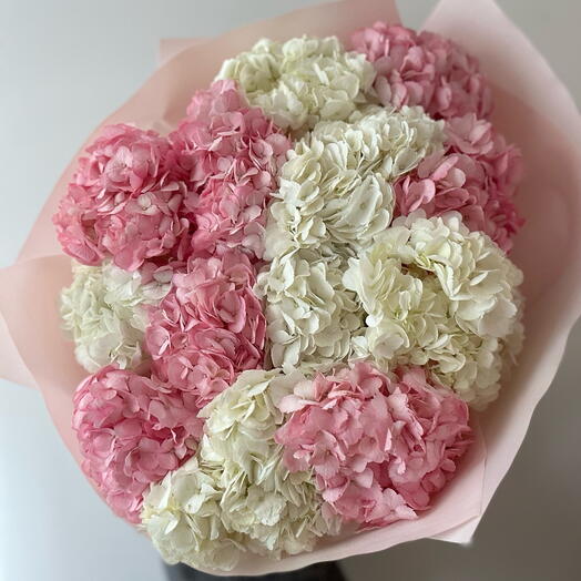 13 hydrangeas