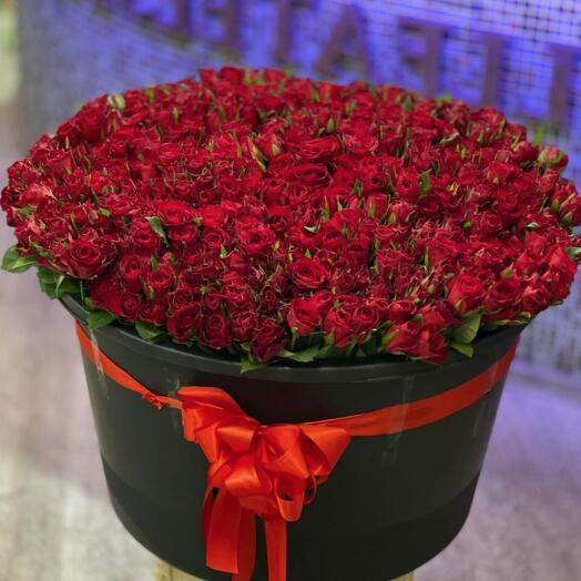 501 rosas rojas 50-60 cm