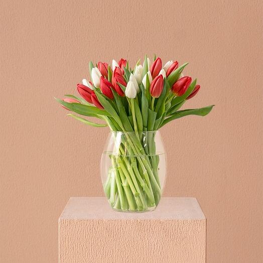 The Tulip Paradox