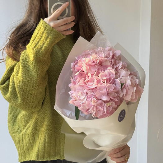 Hydrangea