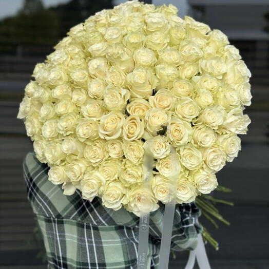 101 White Roses