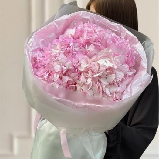 3 pink hydrangeas