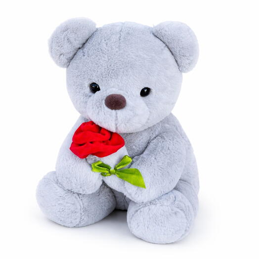 Grey Teddy with rose 25cm