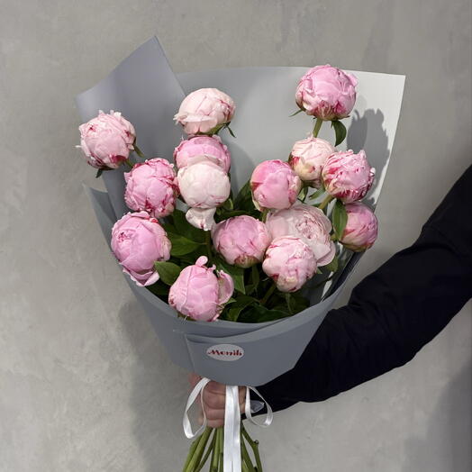 Peony Sarah Bernhardt 15
