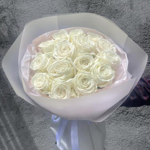 Rose Playa Blanca 15