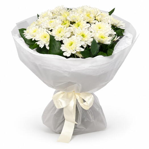Chrysanthemum