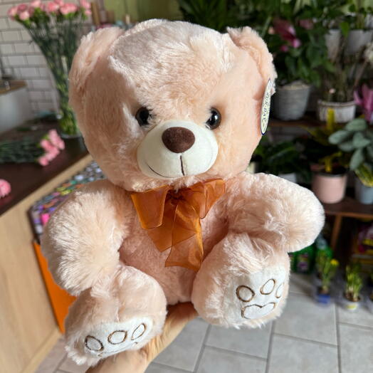 Plush toy 🧸