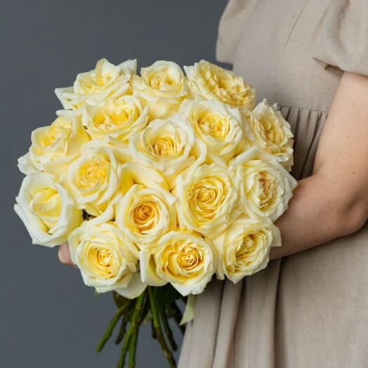 Dozen Cream Garden Roses