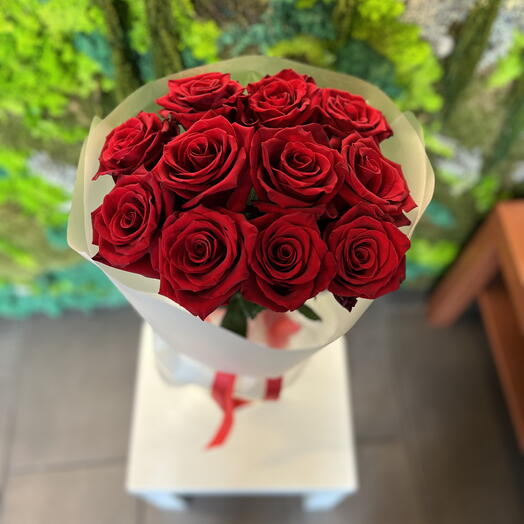 Red rose 11