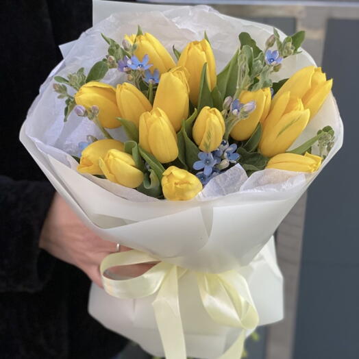 Żołte tulipany z oxypetalum