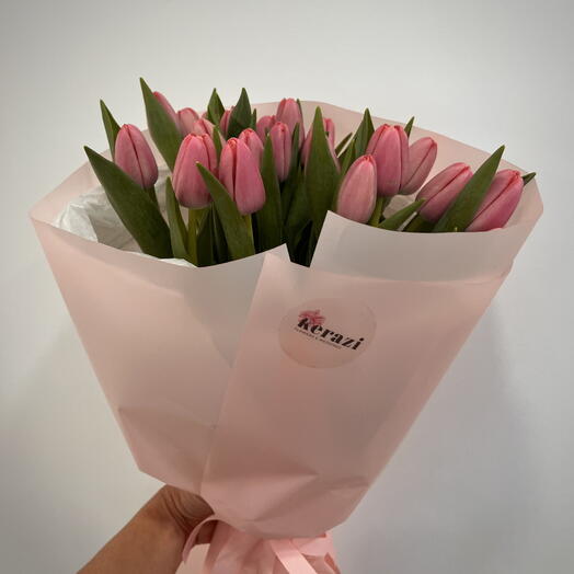 Pink Tulips - 21