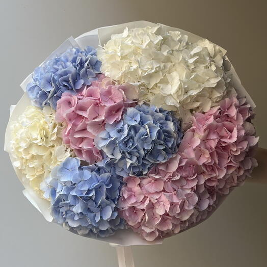 Hydrangea Mix 9
