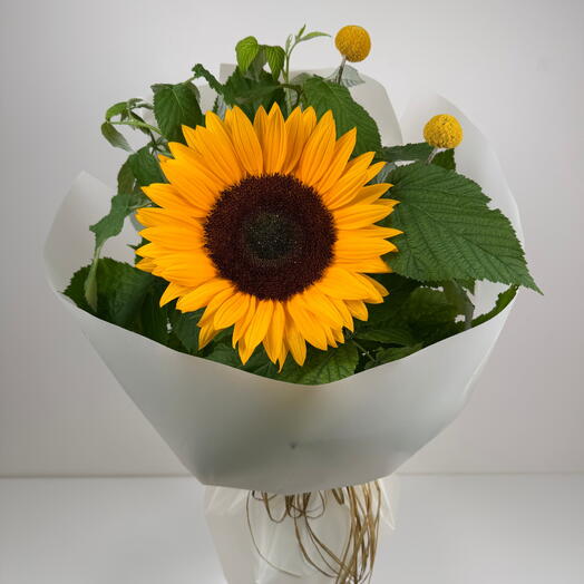 Sunny Bell