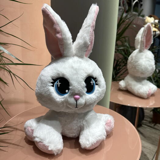 Bunny