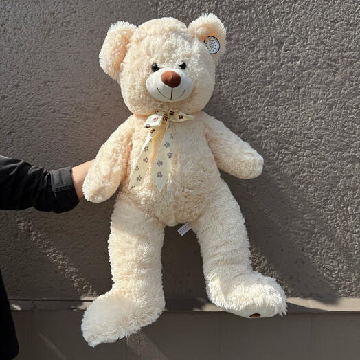 Creamy teddy bear