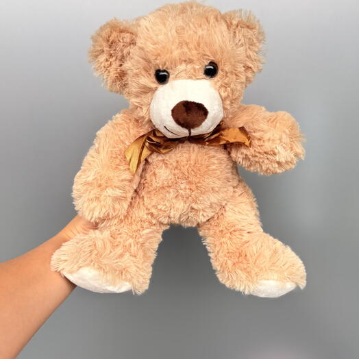 Teddy Bear