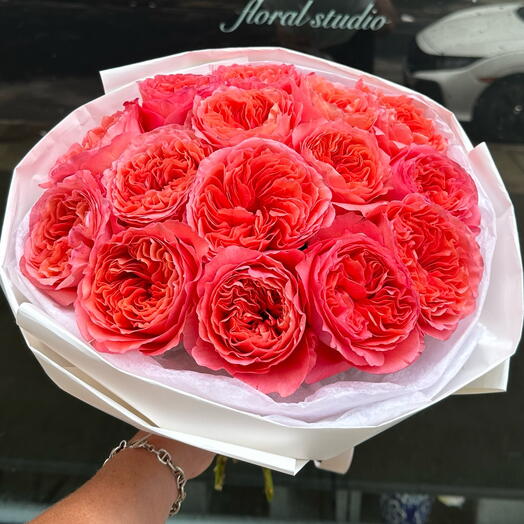 Expression roses, S