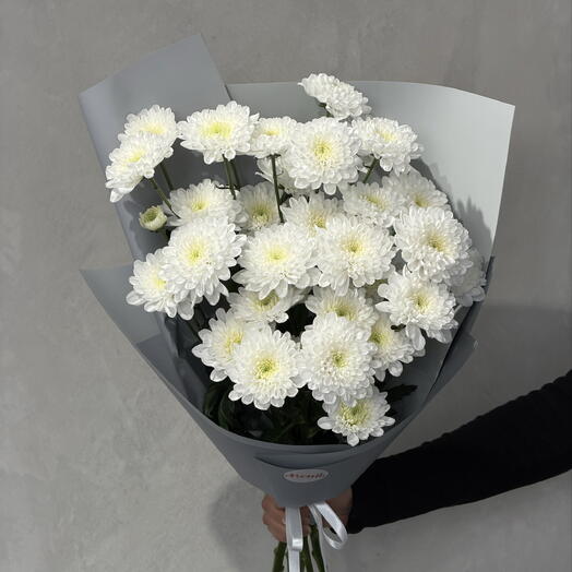 White chrysanthemum 5