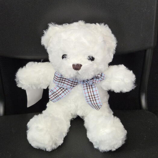 Small white plush teddy bear