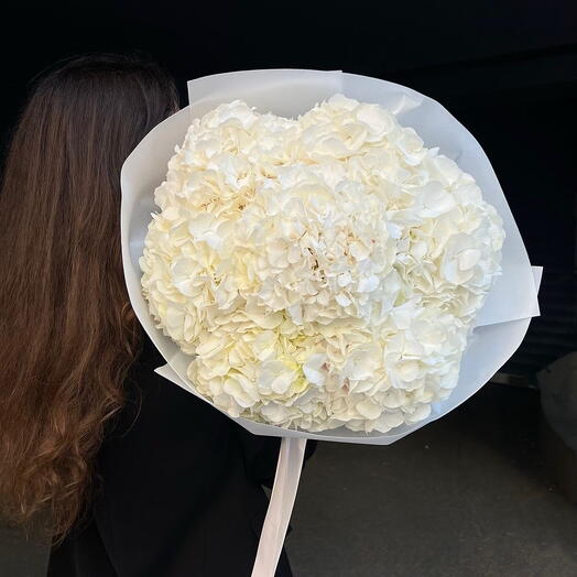 White Hydrangeas