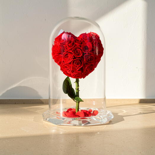 Red Heart Rose Immortal