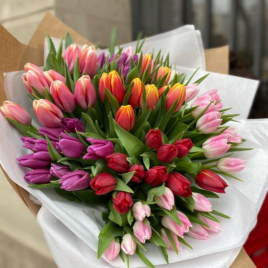 Mix tulips 77