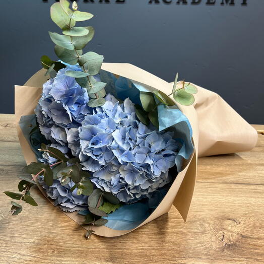 Bouquet of 3 hydrangeas and eucalyptus
