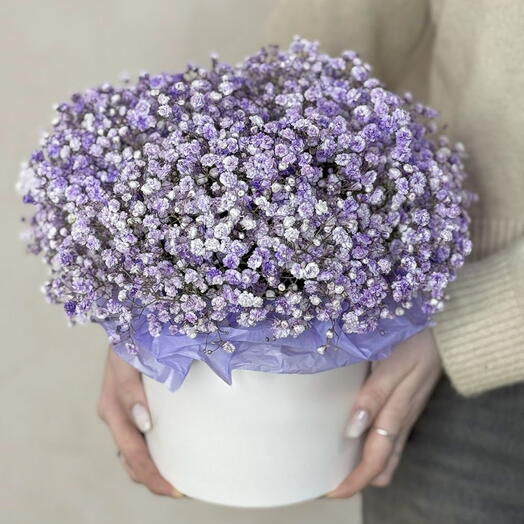 Purple gypsophiles in a box