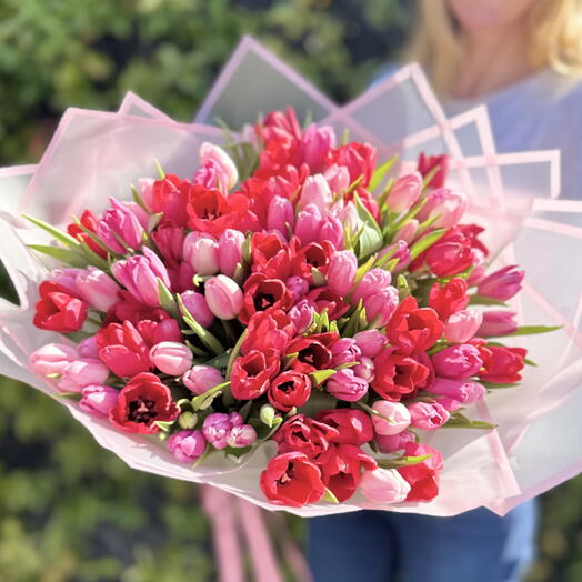 Tulips