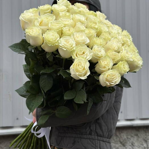 31 White ROSES