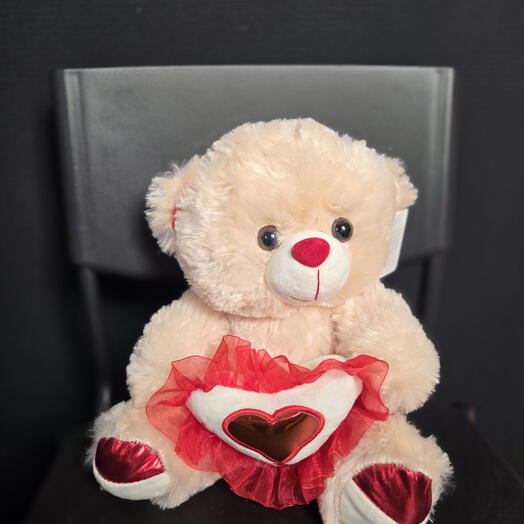 Plush teddy bear 25cm
