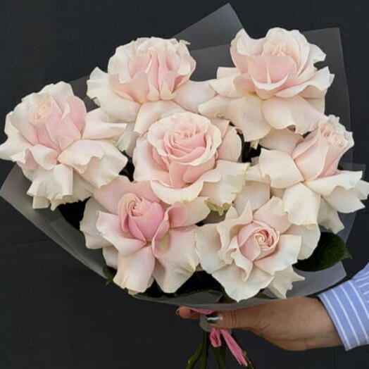 French Rose