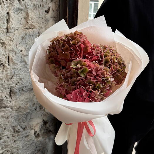 Elegancia de hortensias