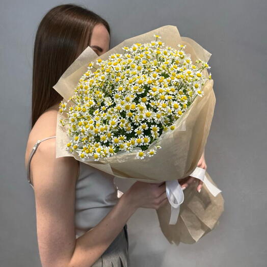 Daisies in a bouquet