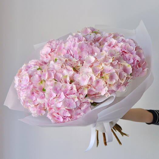 Pink hydrangeas - 9