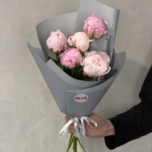 Peony 'Sarah Bernhardt' 5