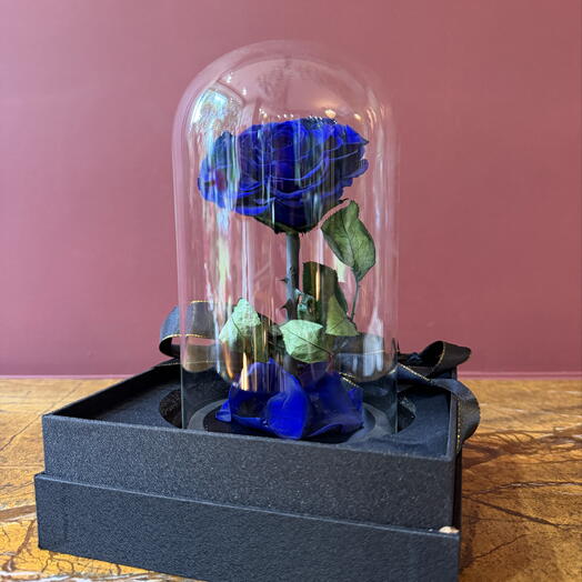 Forever Blue Rose