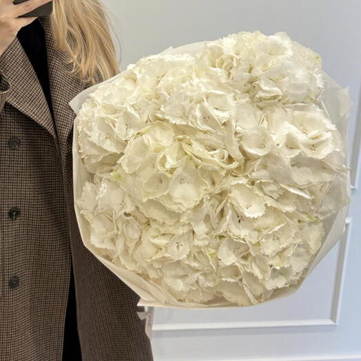 Bouquet of 9 white hydrangeas