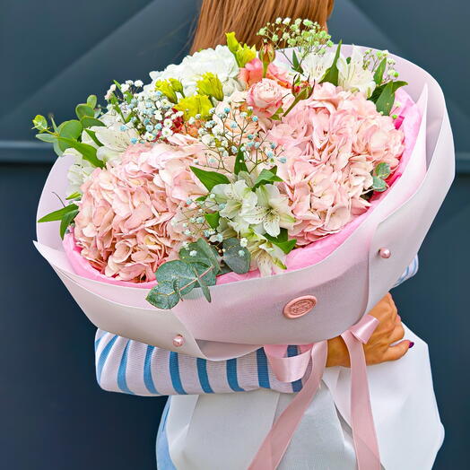🌸 Hydrangea Dream