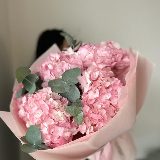 Hydrangea 7