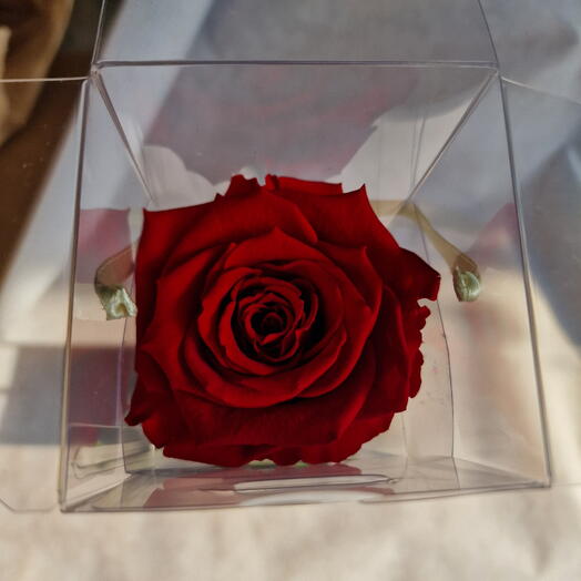 Eternal red roses