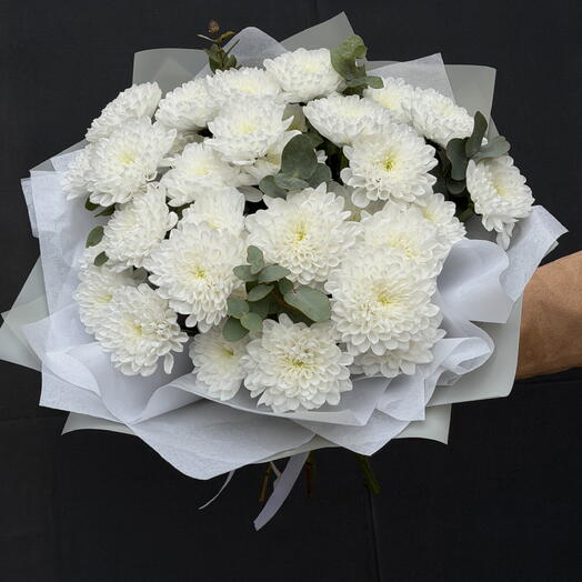 Chrysanthemum 5