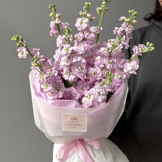 Matthiola Pink