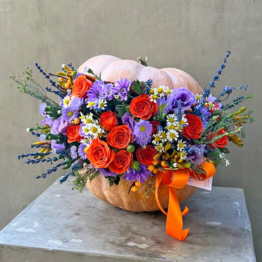 Pumpkin s Whimsy 💐