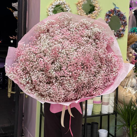 Bouquet of pink-and-white gypsophila GRADE