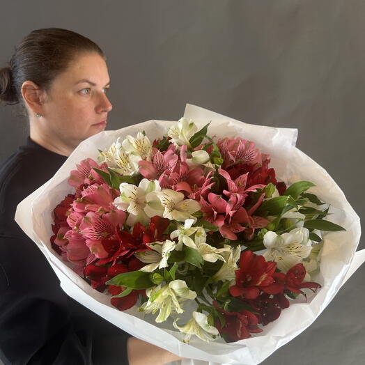 Alstroemeria Mix