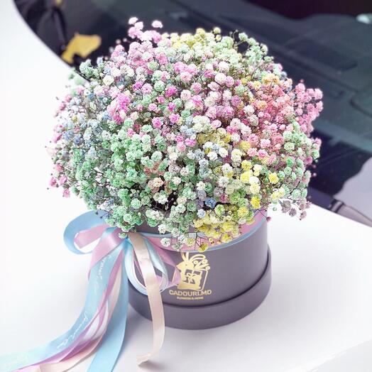 A box with a multicolored gypsophila