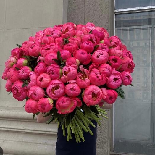 Coral peonies